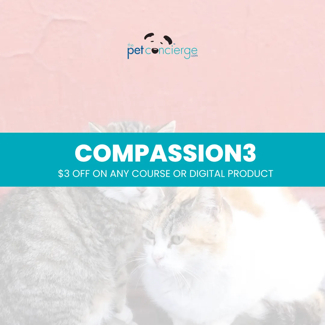 World Stray Animals Day