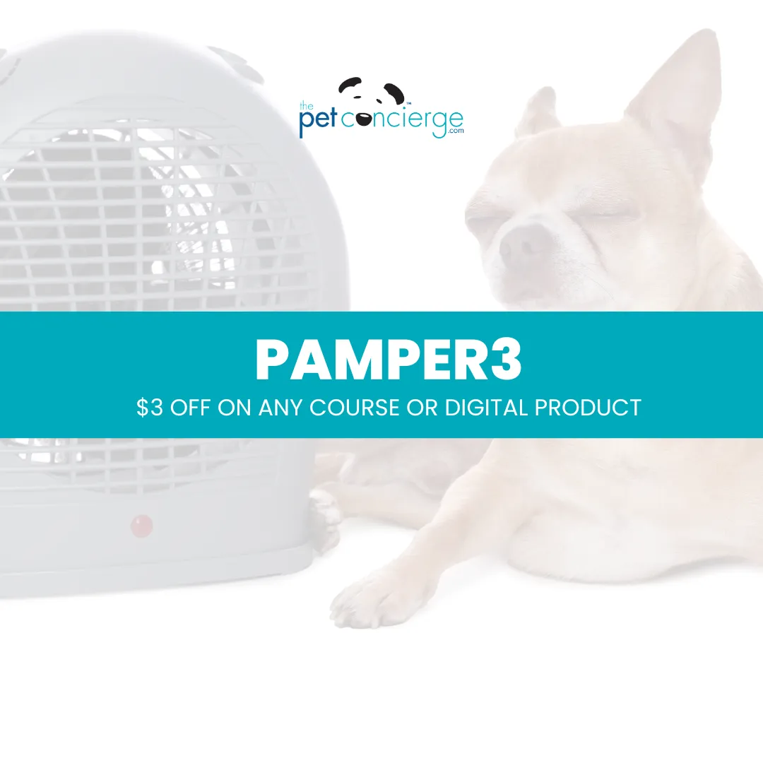 National Little Pampered Dog Day