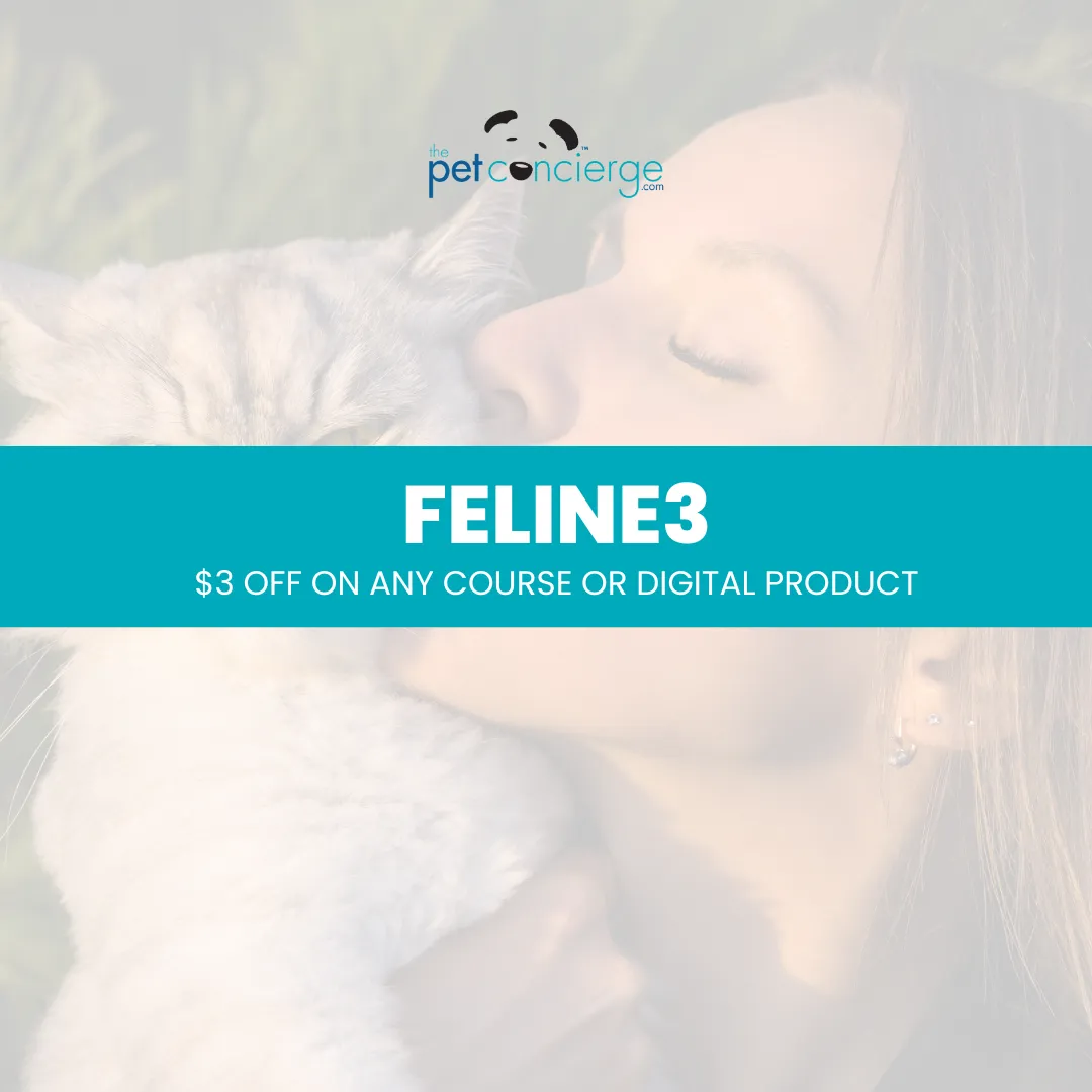 National Cat Lady Day