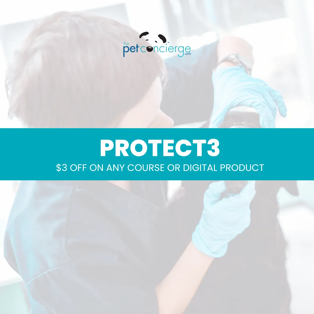 Heartworm Awareness Month