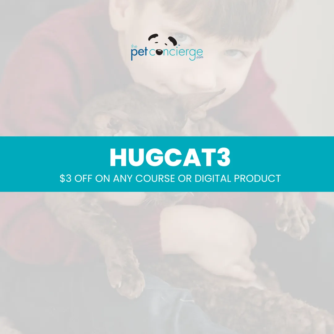 International Hug Your Cat Day