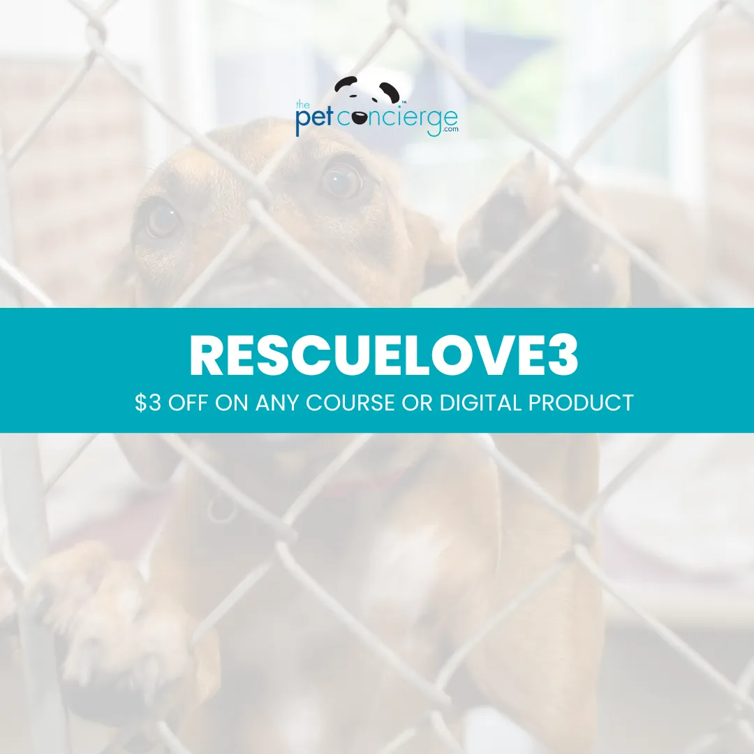 National Rescue Dog Day
