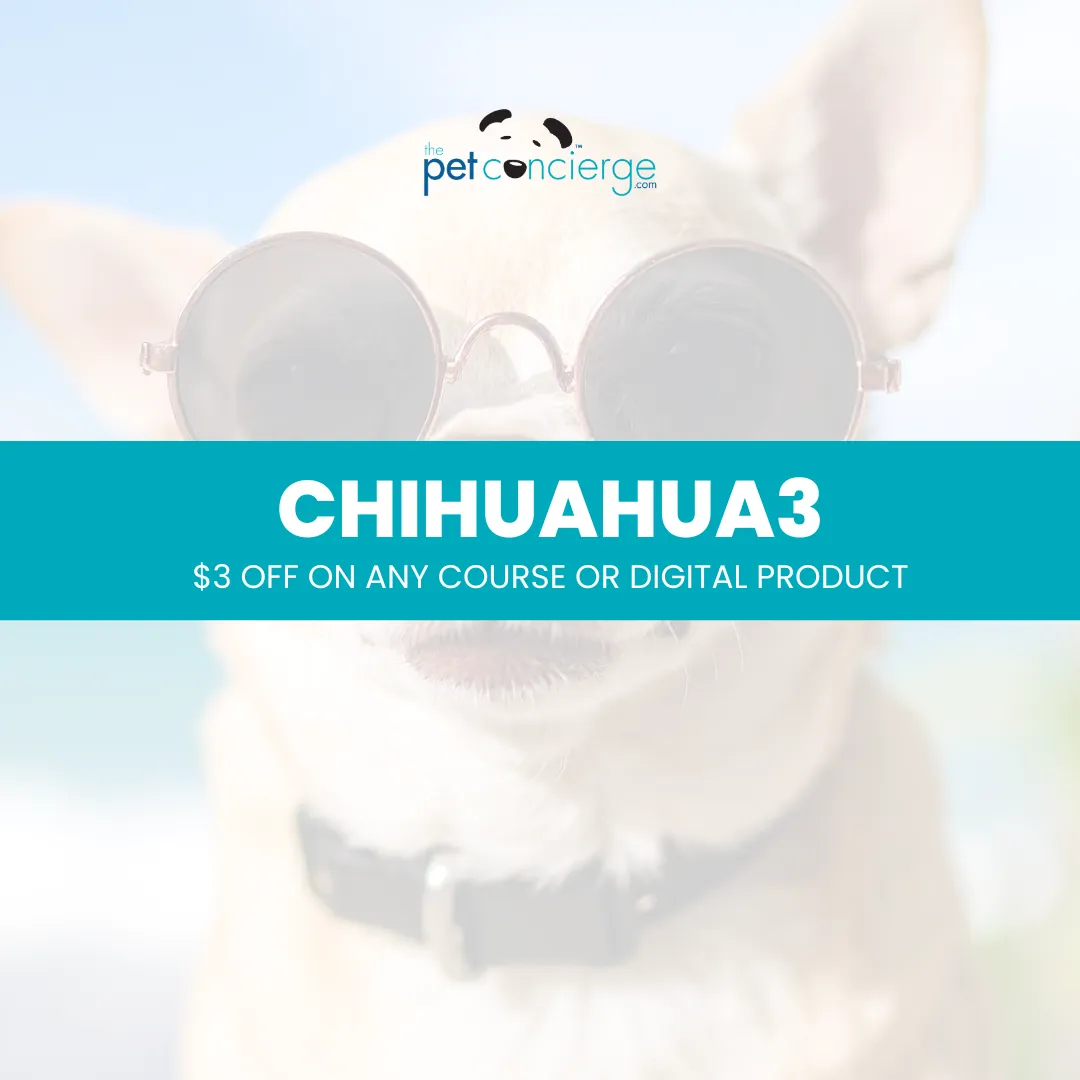 International Chihuahua Appreciation Day
