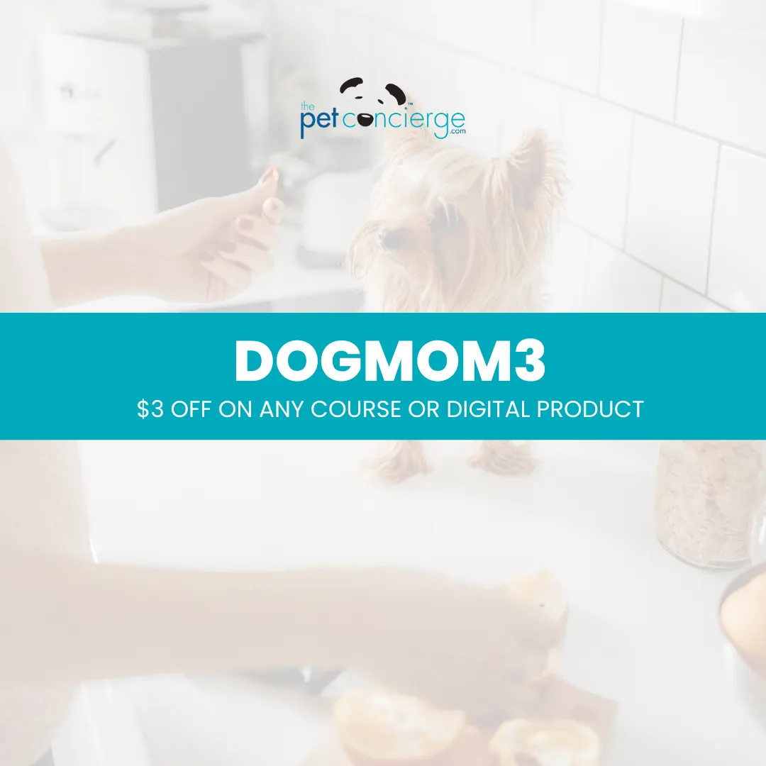 National Dog Mom’s Day