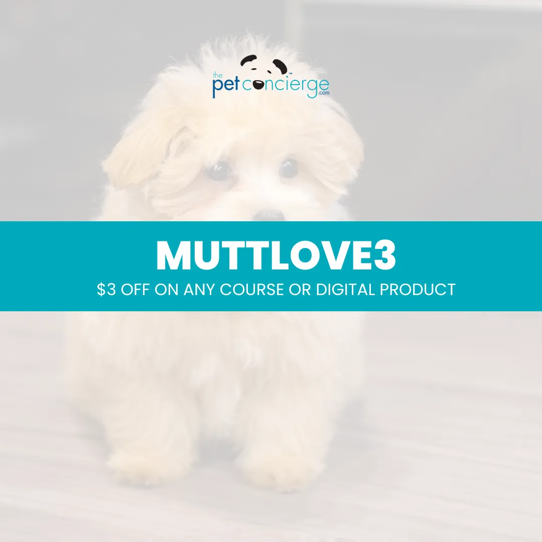 Mayday for Mutts