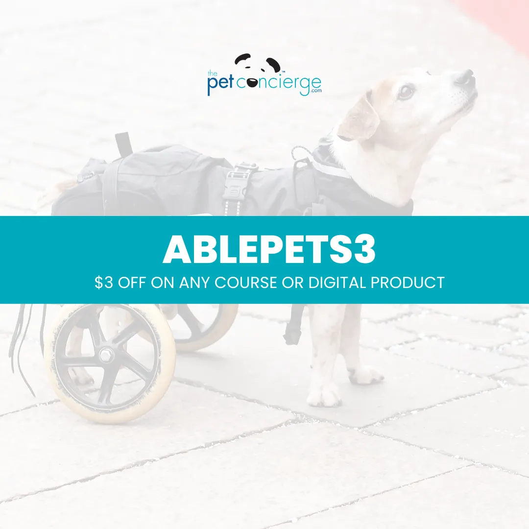 National Specially-Abled Pets Day