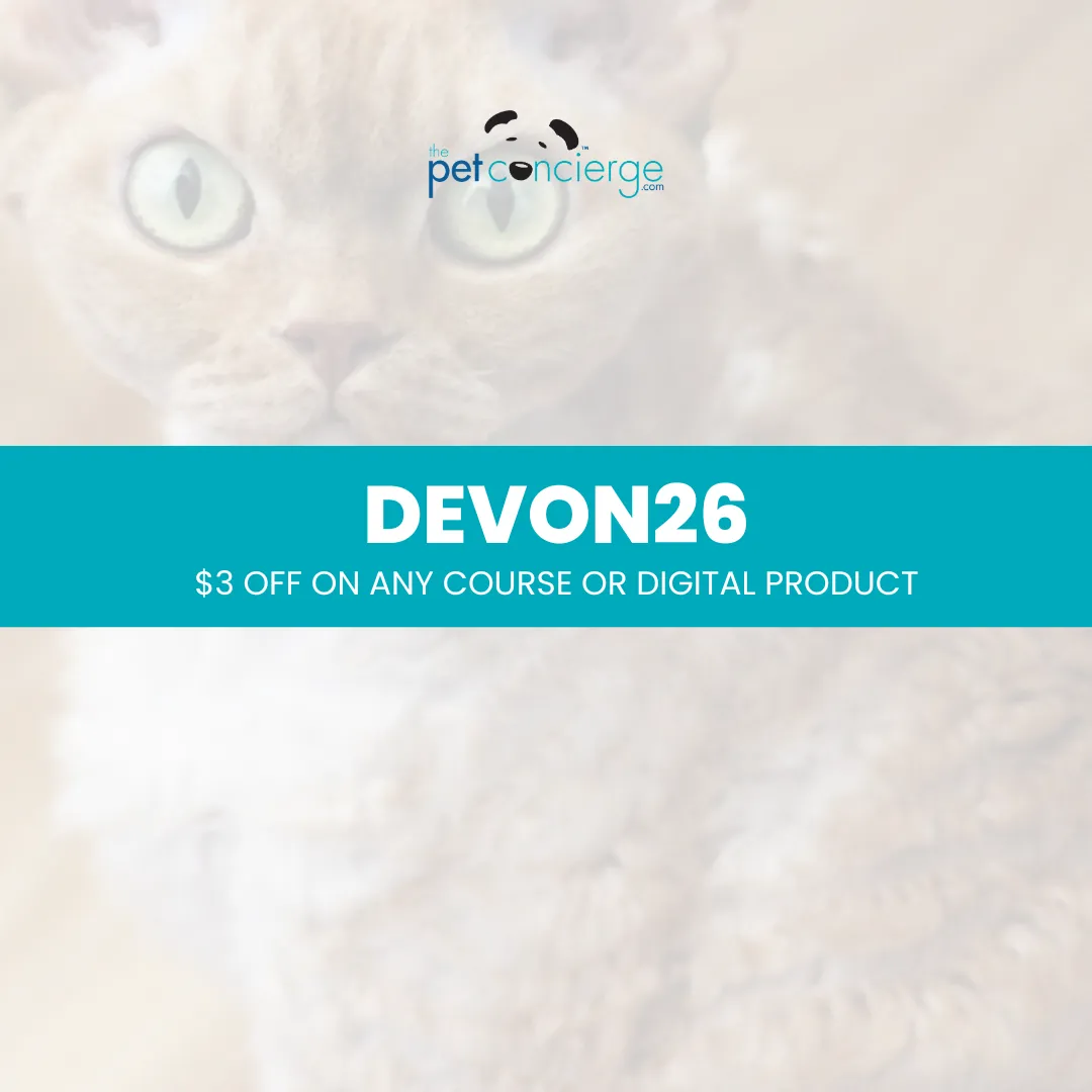 Meet the Devon Rex: The Playful and Pixie-Like Companion