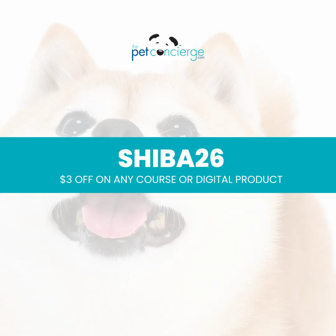 Meet the Shiba Inu: The Independent and Fox-Like Companion