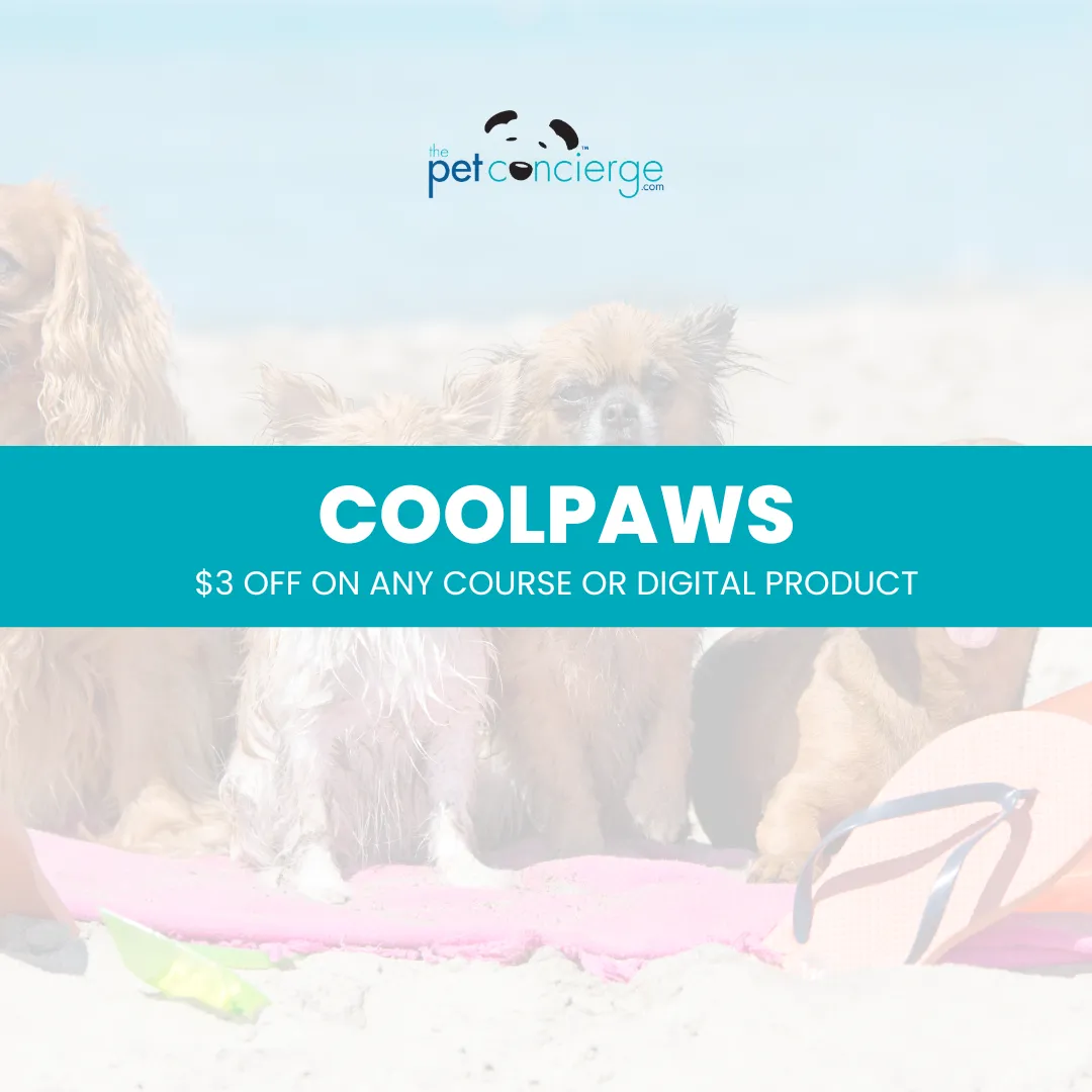 Summer Solstice (Pet Heat Safety Awareness)