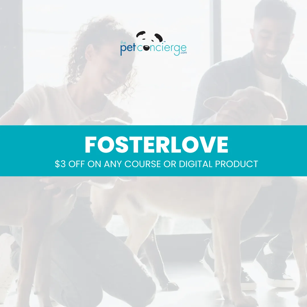 National Foster a Pet Month