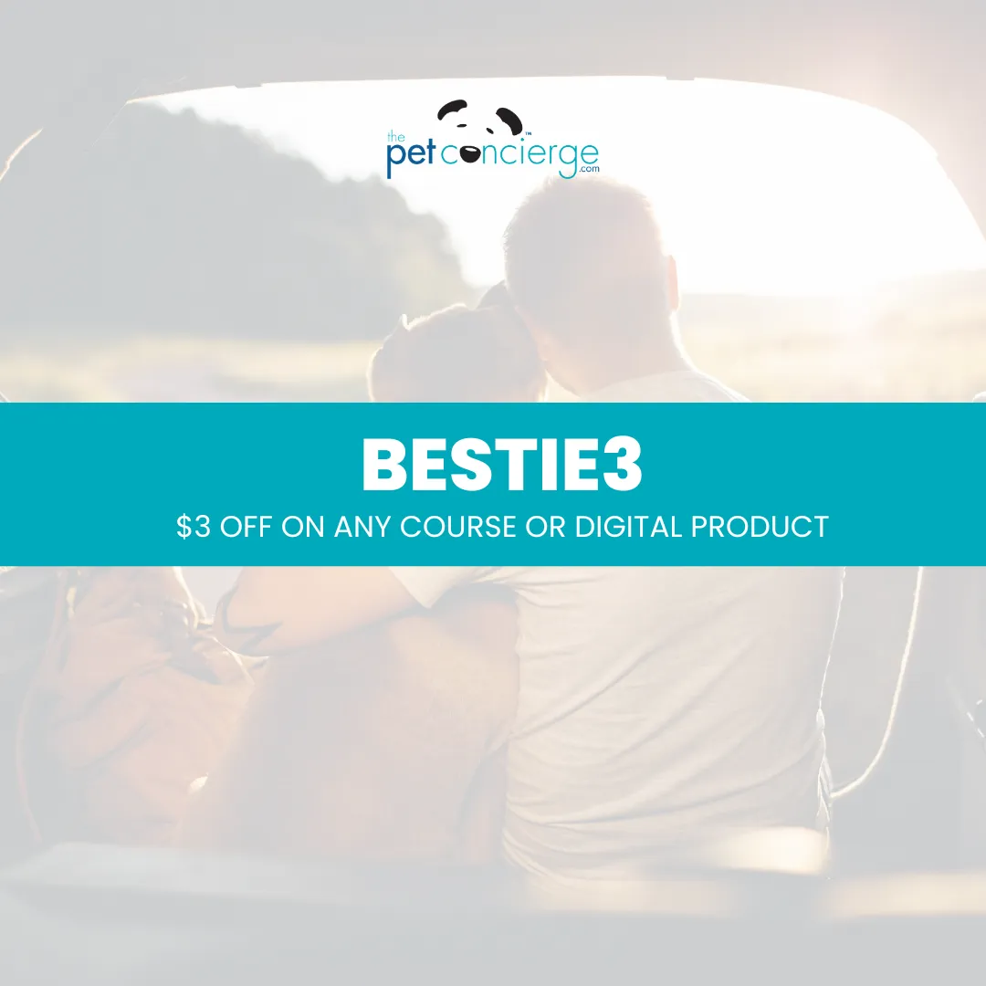 Best Friends Day