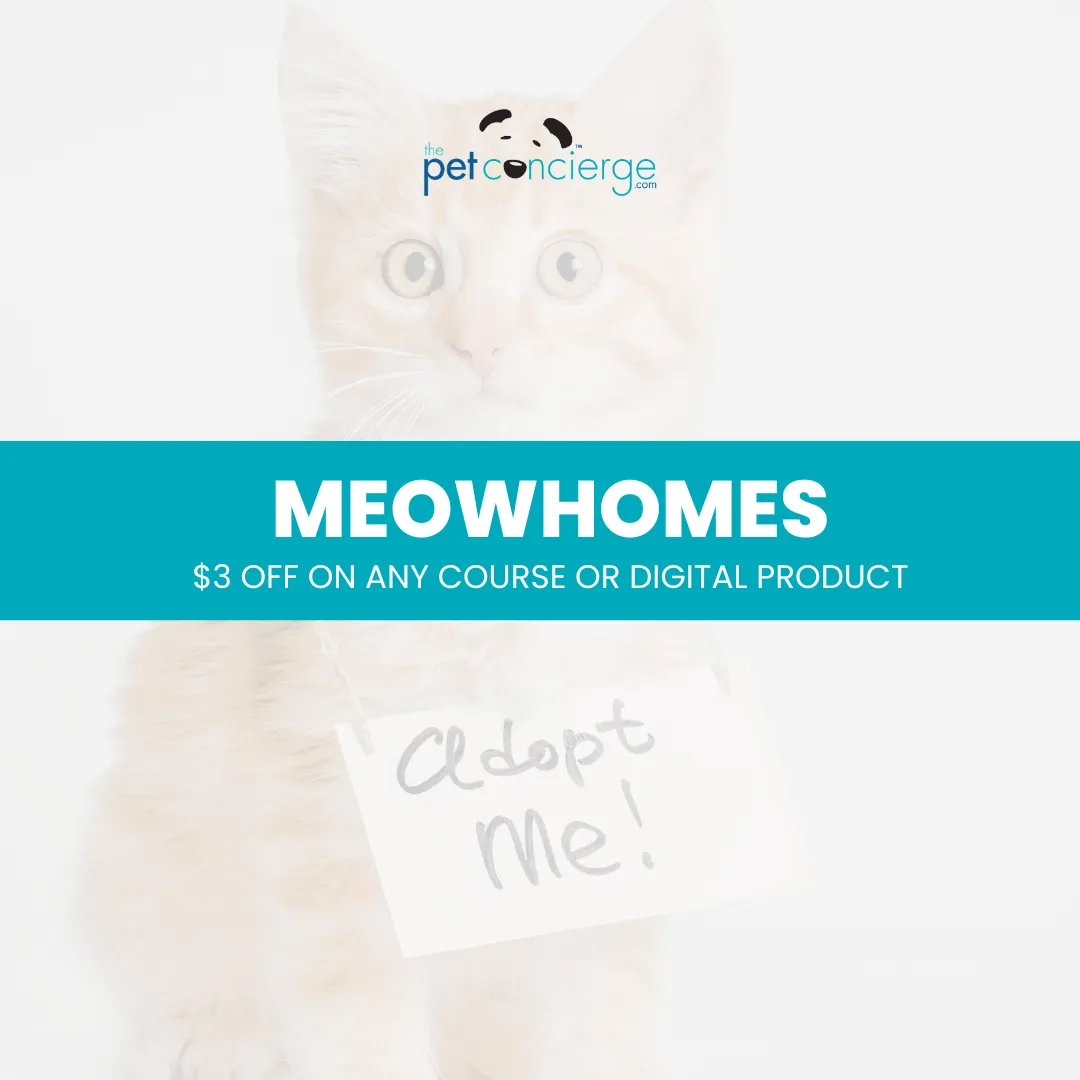 Adopt-a-Cat Month