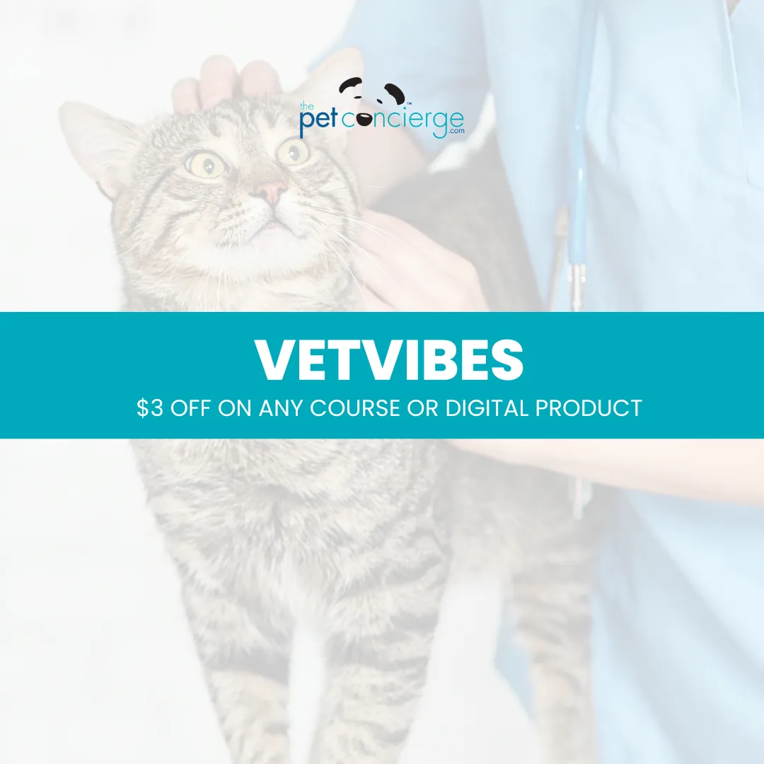National Take Your Cat to the Vet Day