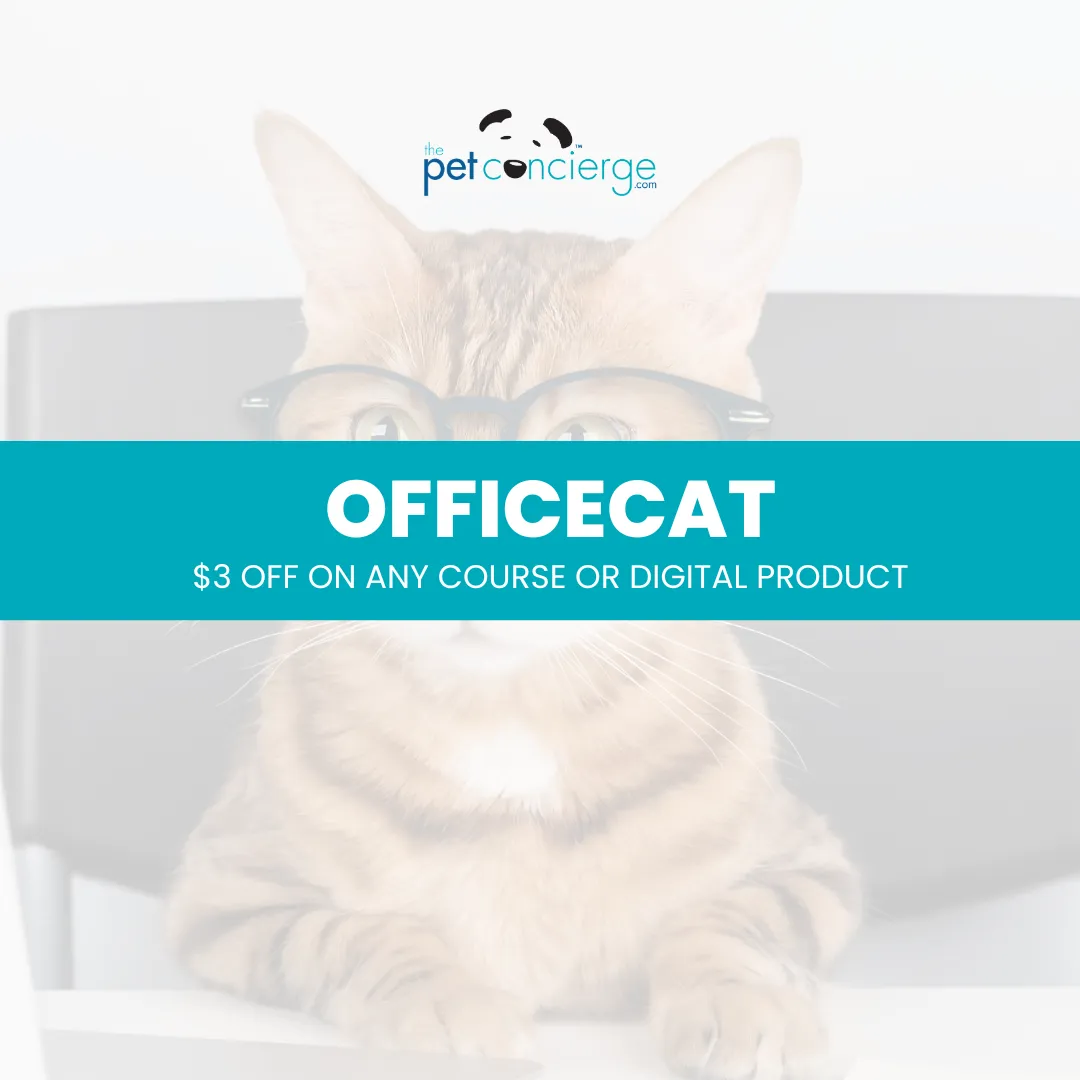 Take Your Cat to Work Day