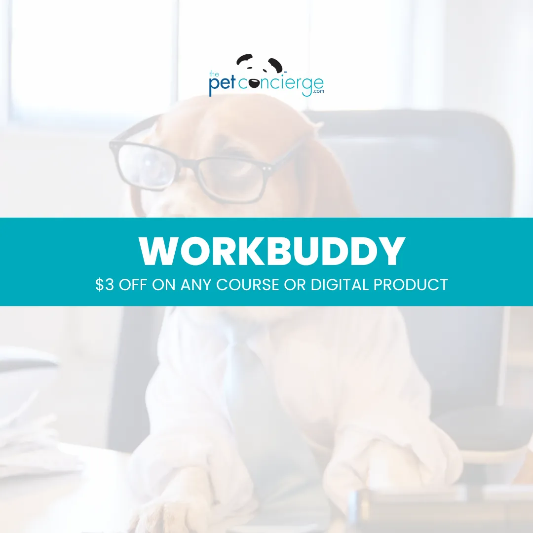 Take Your Dog to Work Day