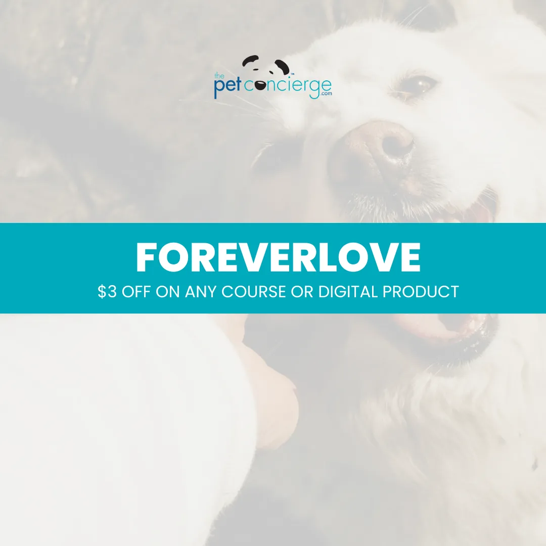 World Pet Memorial Day