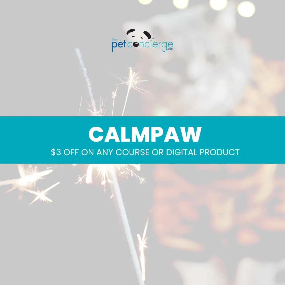 Fireworks Safety / Independence Day