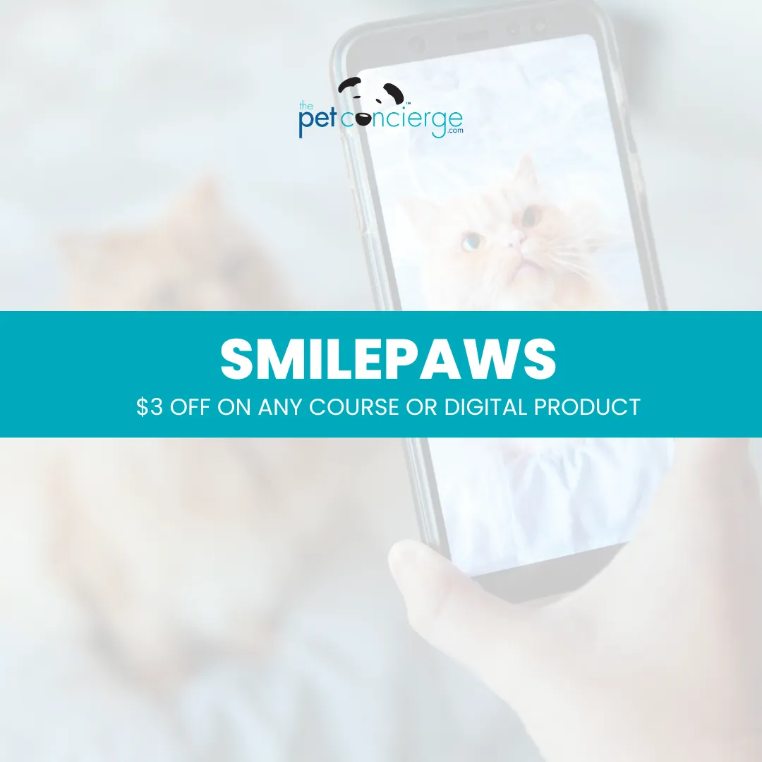 All-American Pet Photo Day