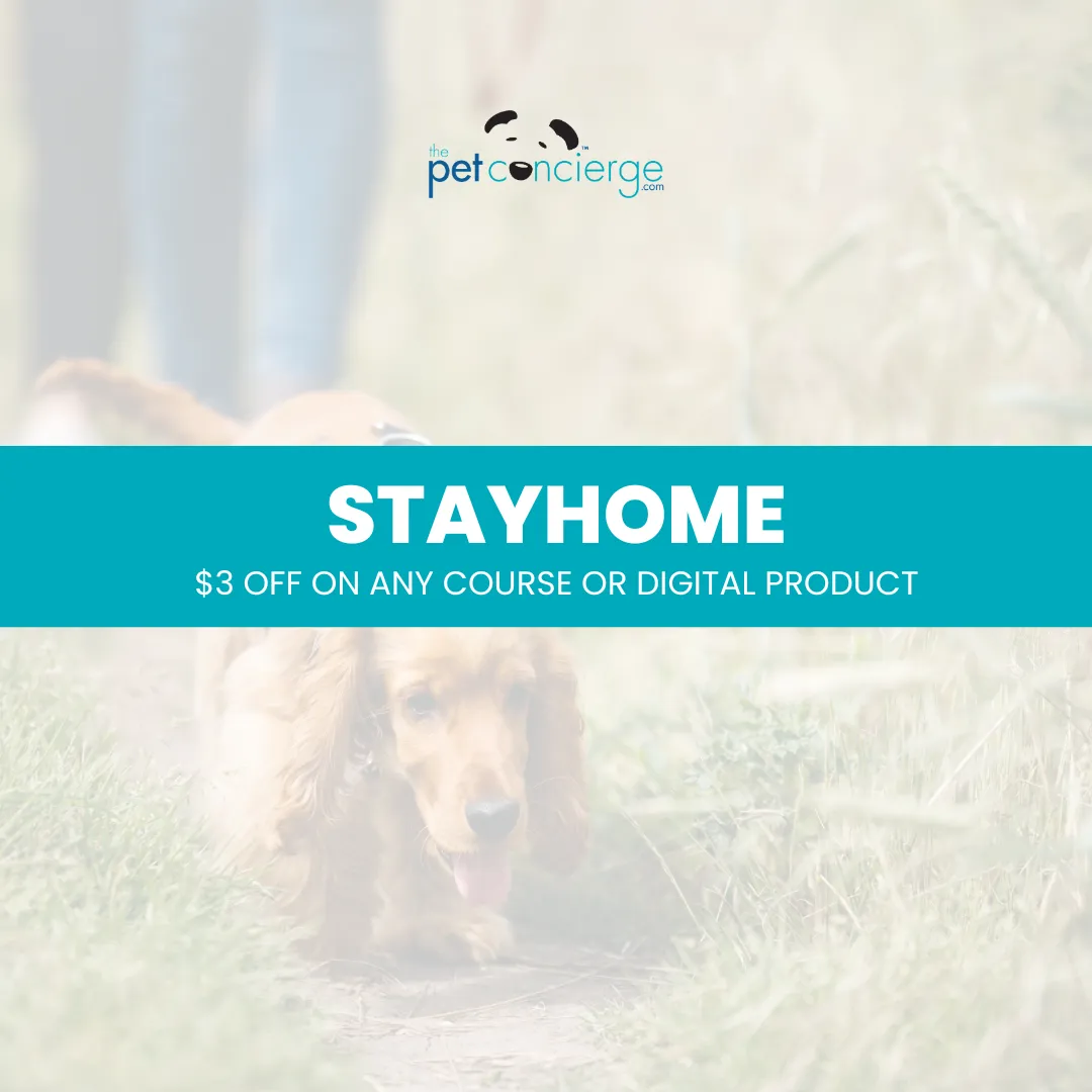 Lost Pet Prevention Month