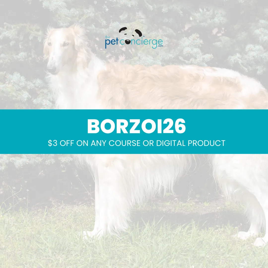 Meet the Borzoi