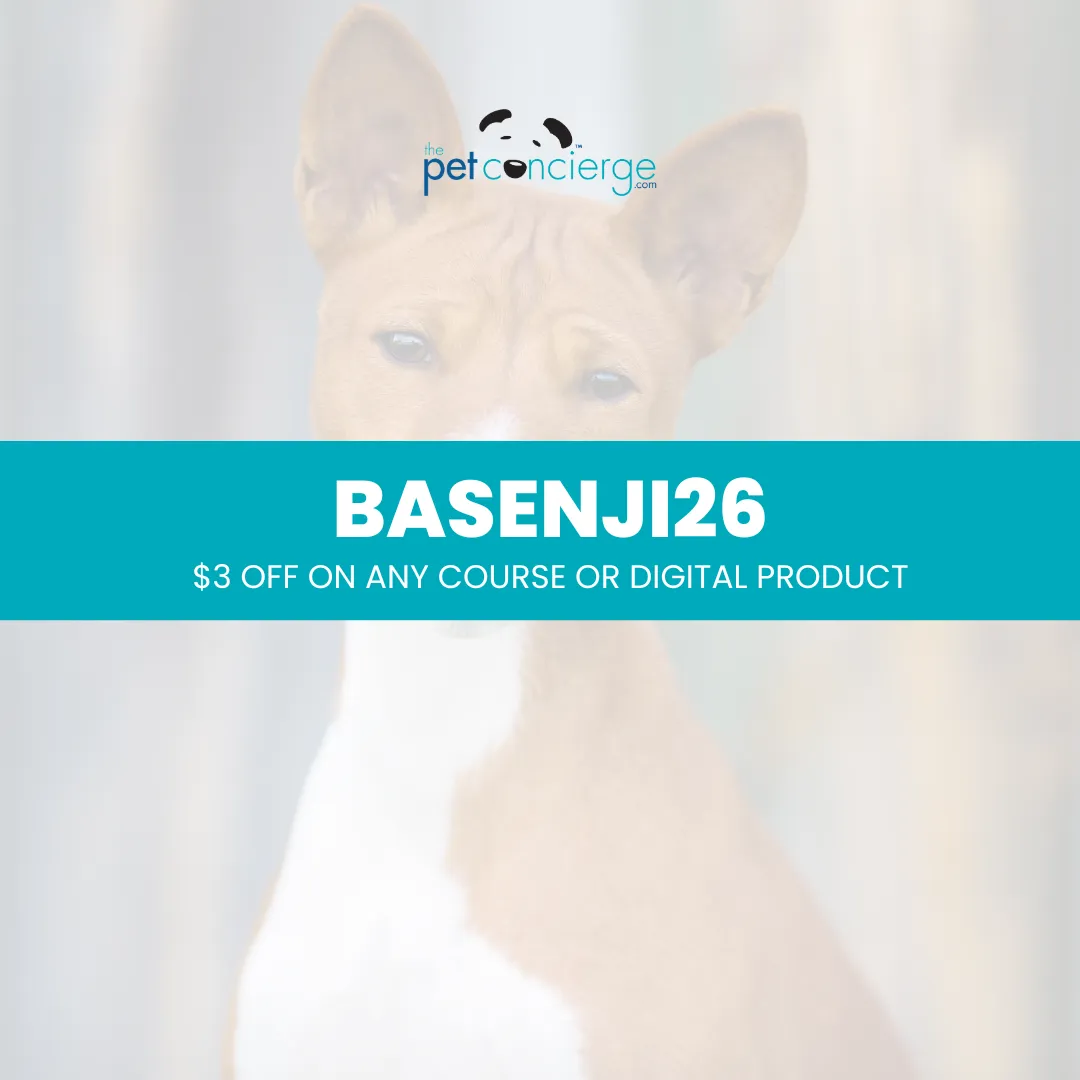Meet the Basenji