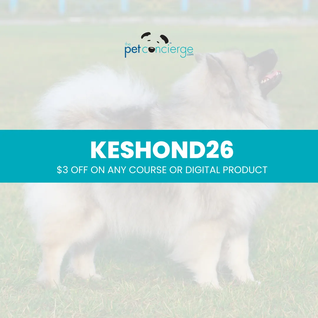 Meet the Keeshond