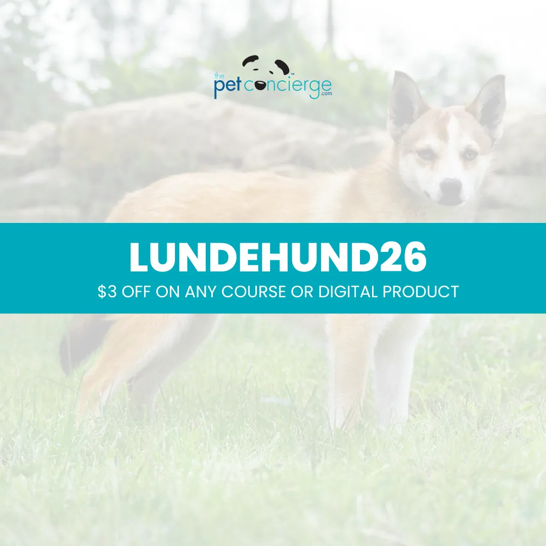 Meet the Norwegian Lundehund