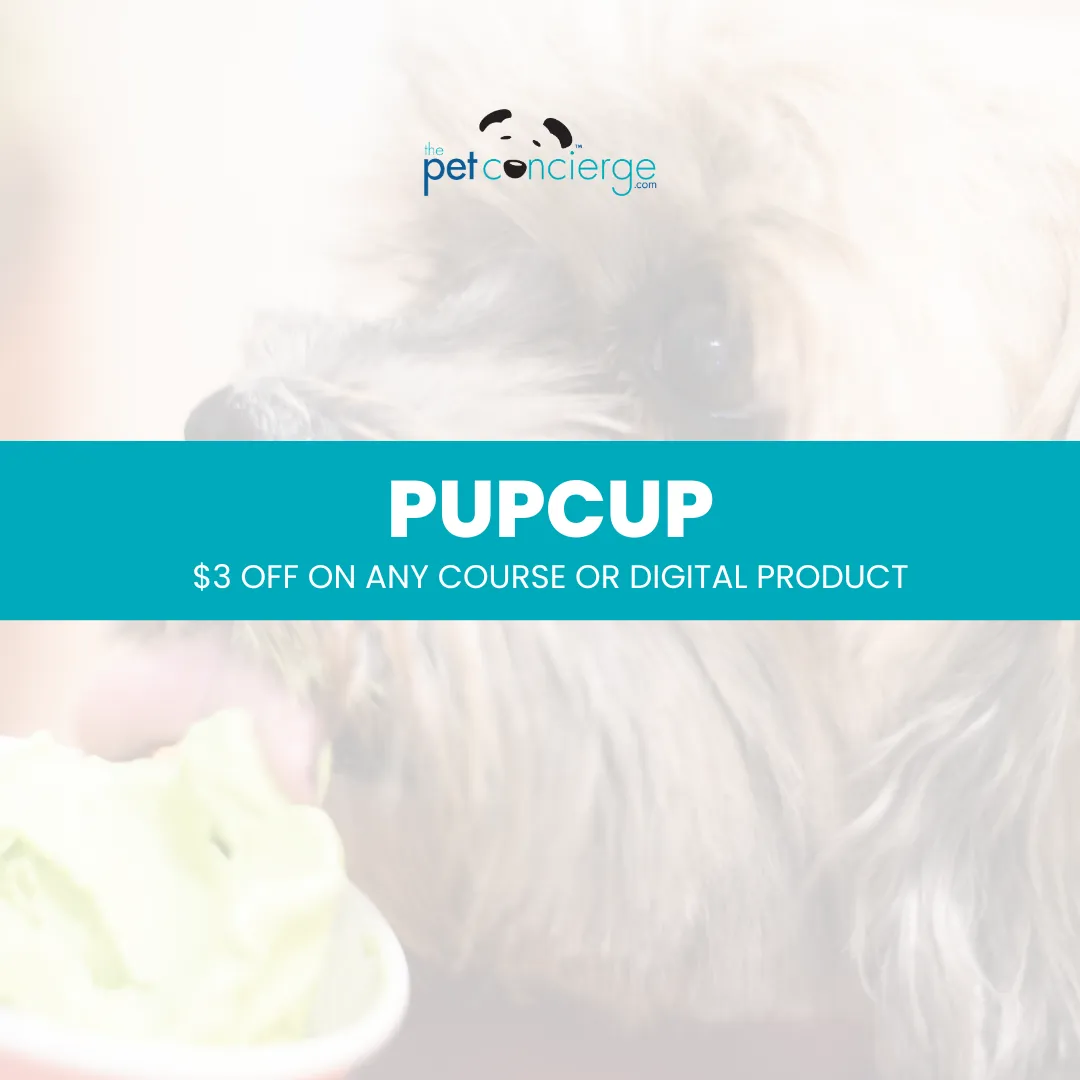 National Ice Cream Day (Pet Friendly focus)