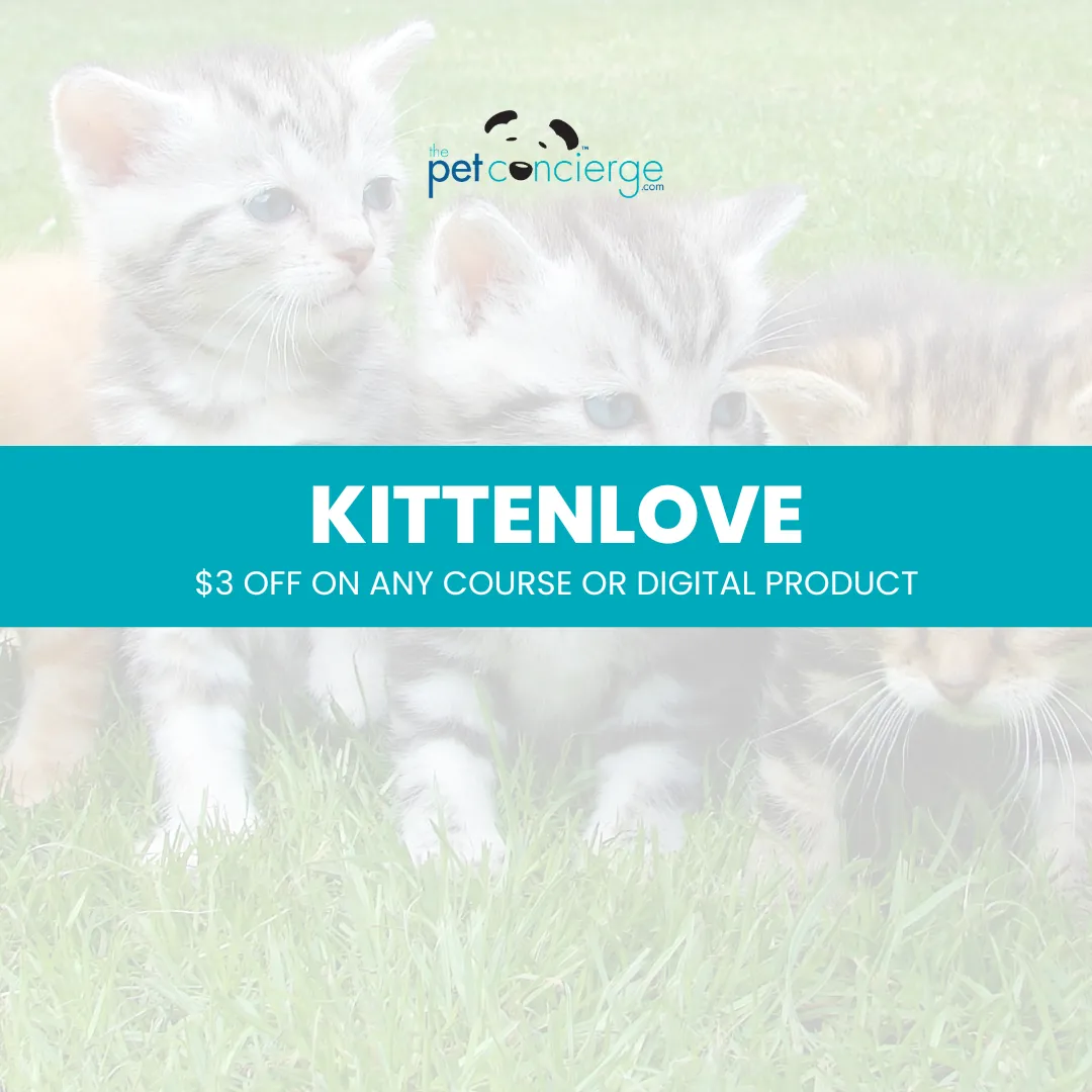 National Kitten Day