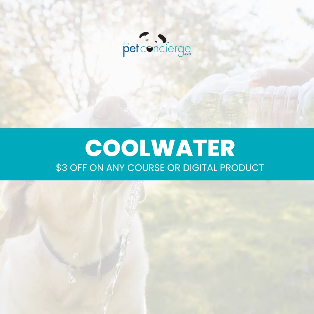 National Pet Hydration Month