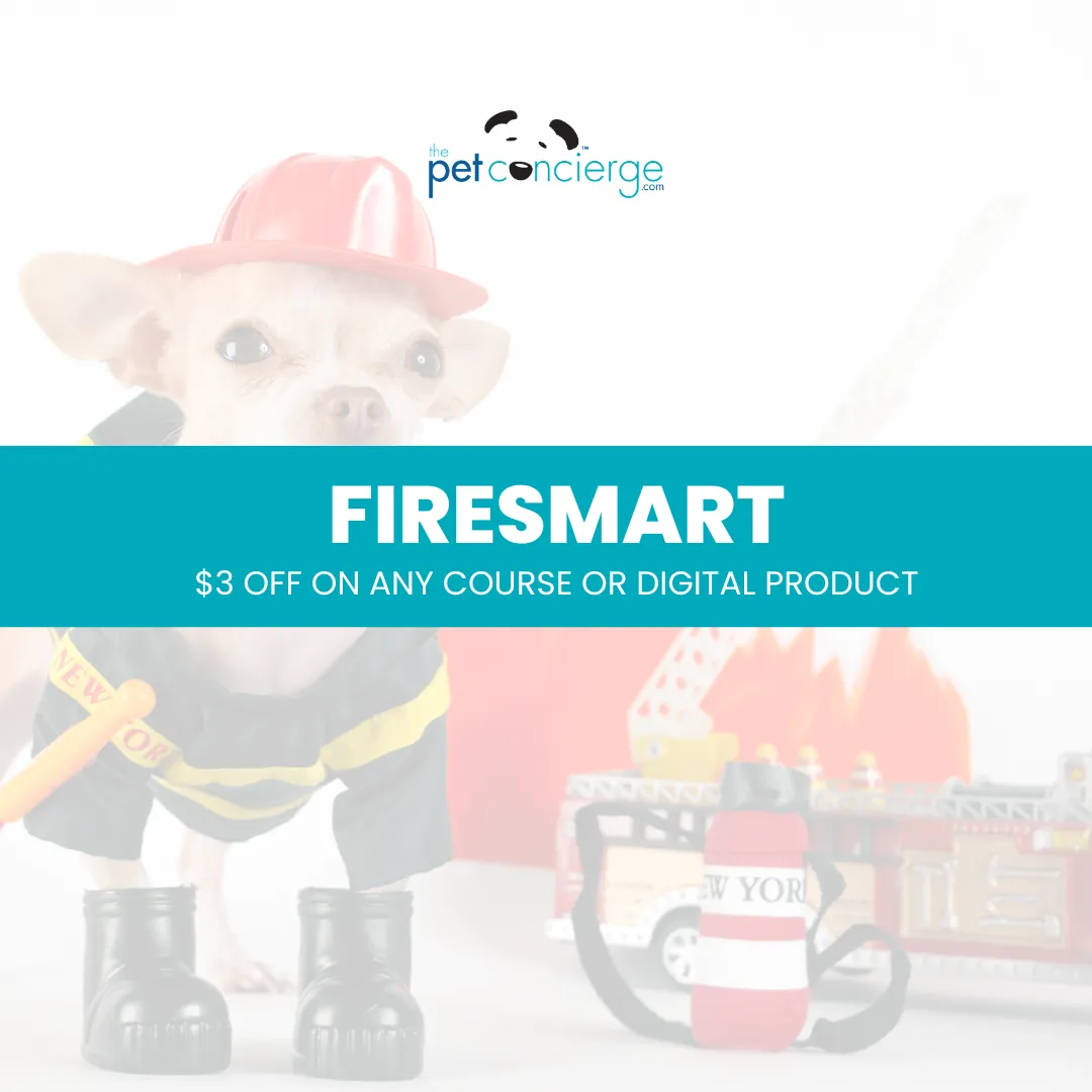 National Pet Fire Safety Day