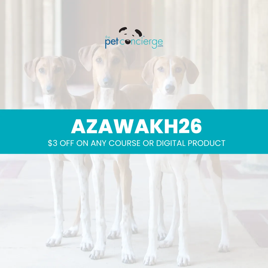 Meet the Azawakh: The Graceful and Loyal Desert Guardian
