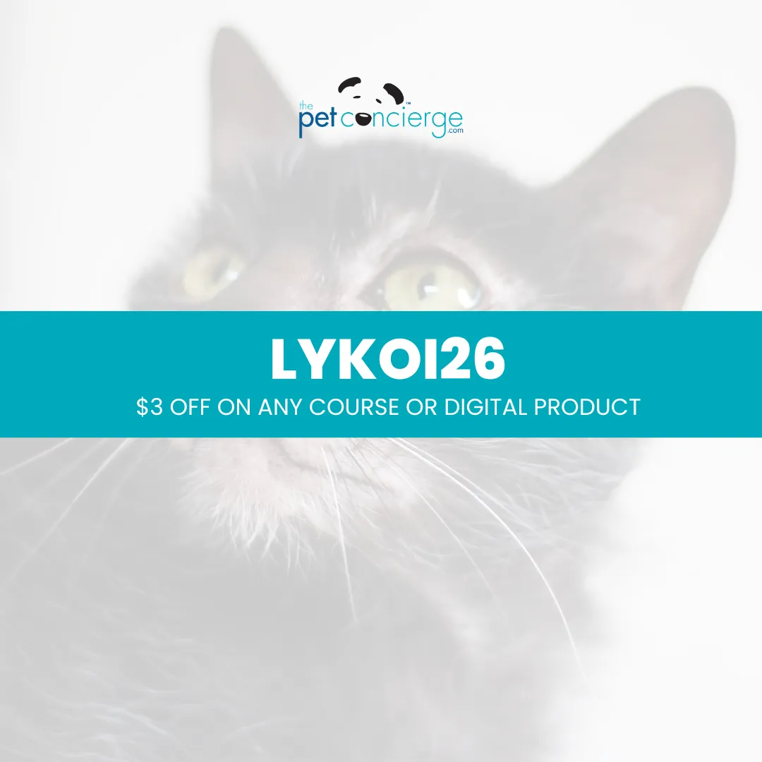 Meet the Lykoi, The Mysterious and Playful "Werewolf Cat"