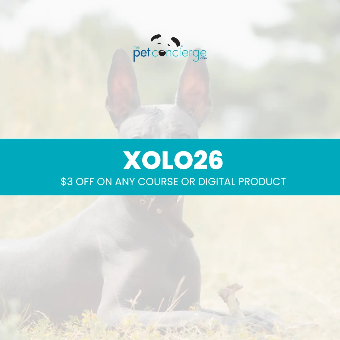 Meet the Xoloitzcuintli: The Ancient and Devoted Mexican Companion