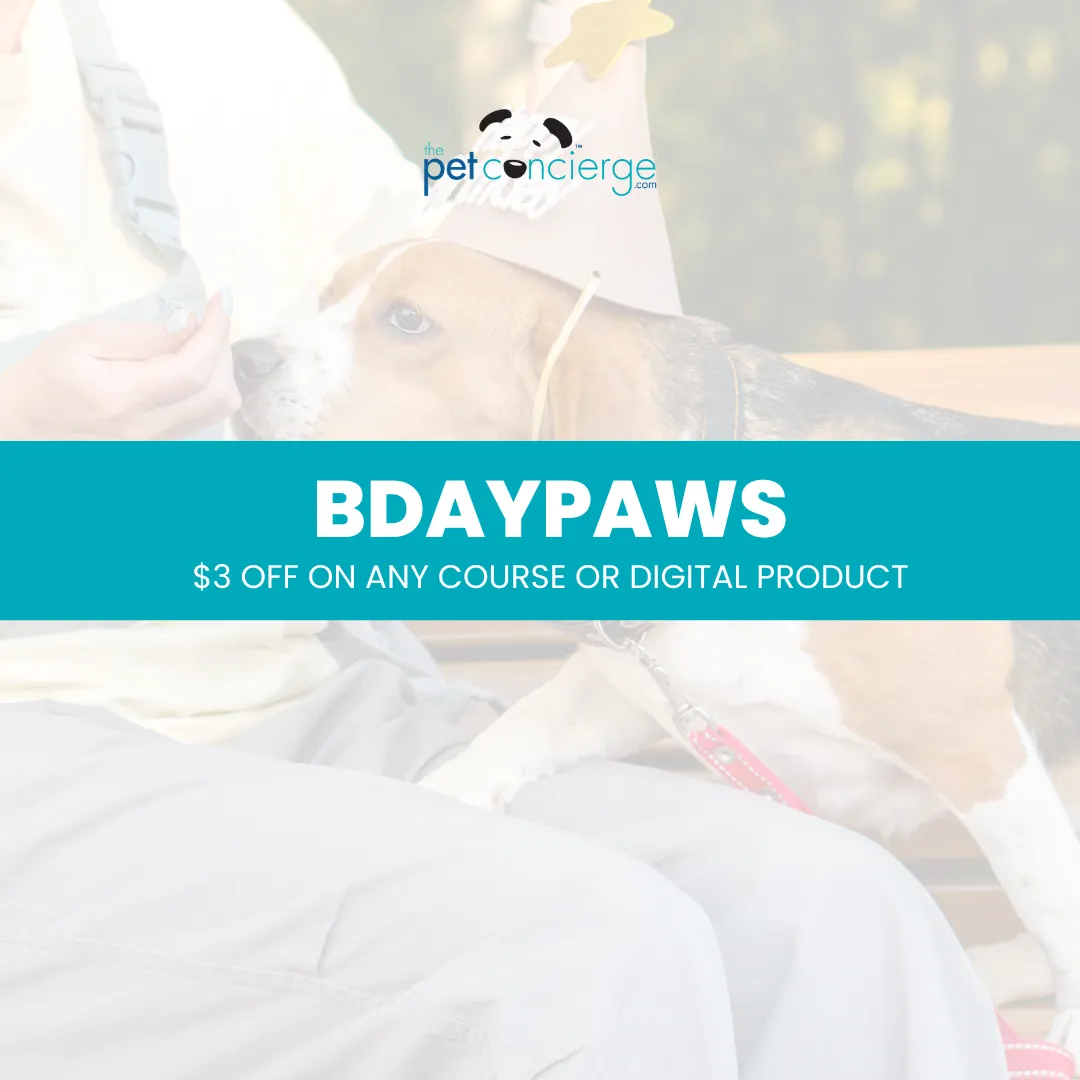 DOGust 1st: Universal Birthday for Shelter Dogs