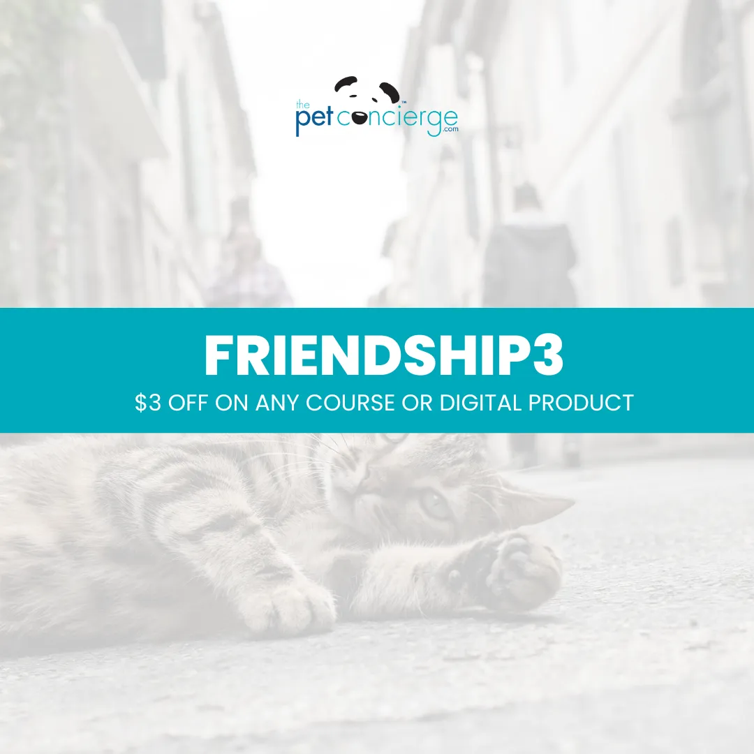 International Homeless Animals Day