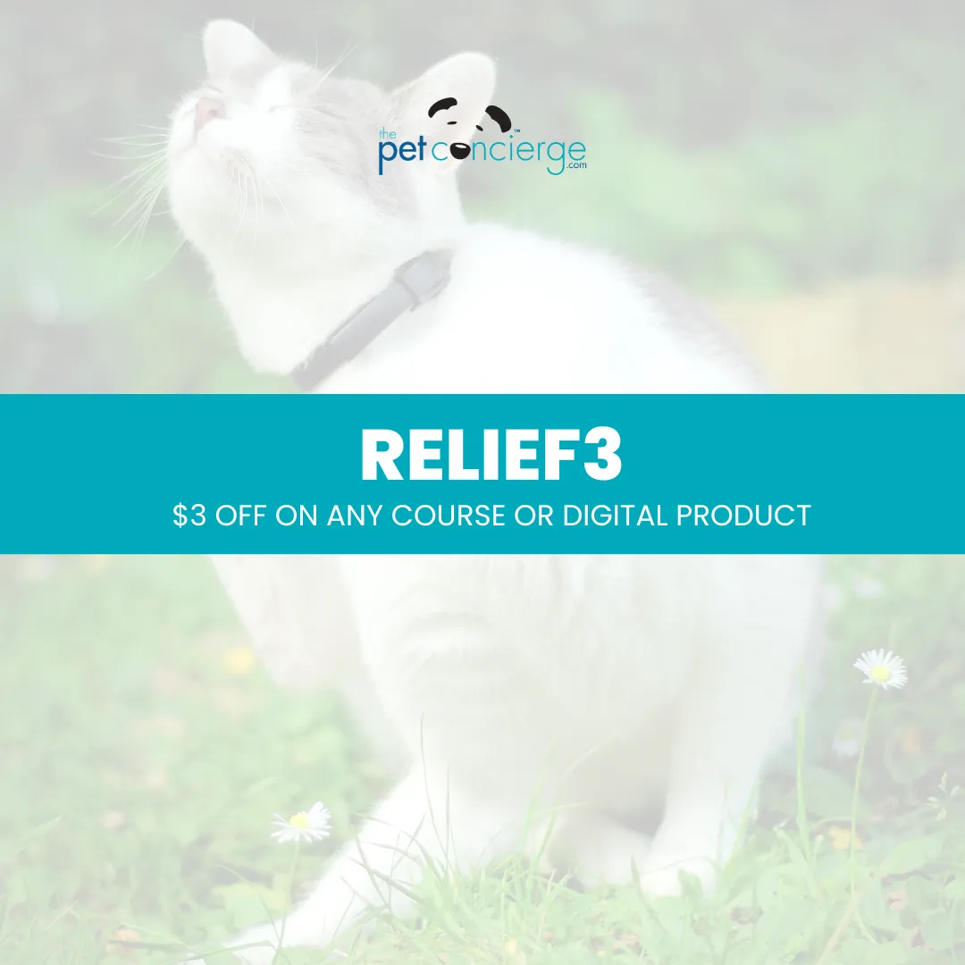 Itchy Pet Awareness Month