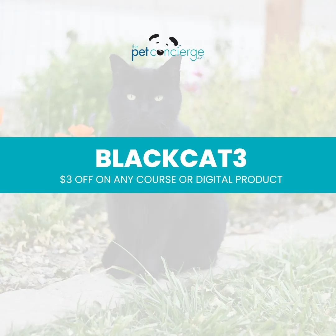 National Black Cat Appreciation Day