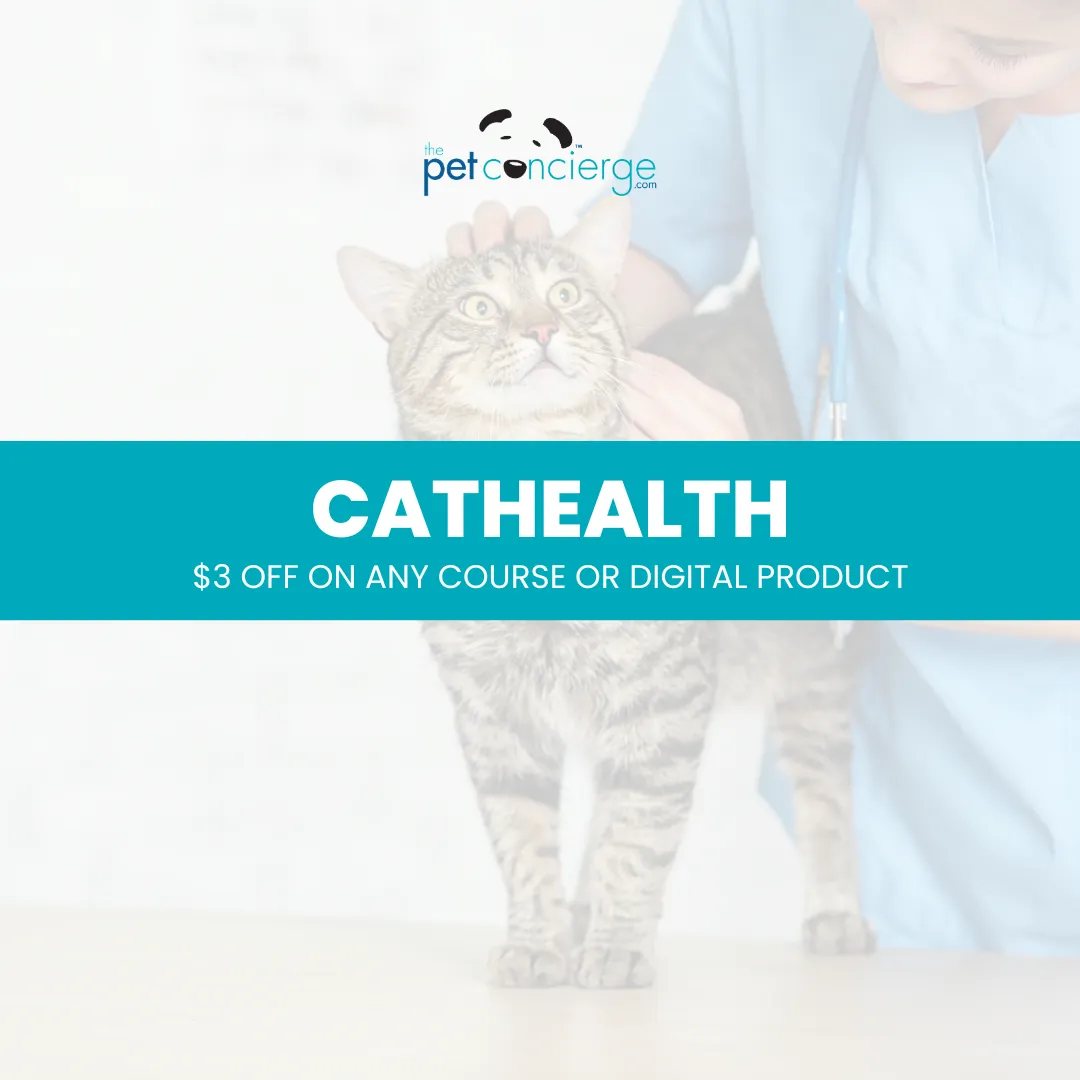 National Take Your Cat to the Vet Day