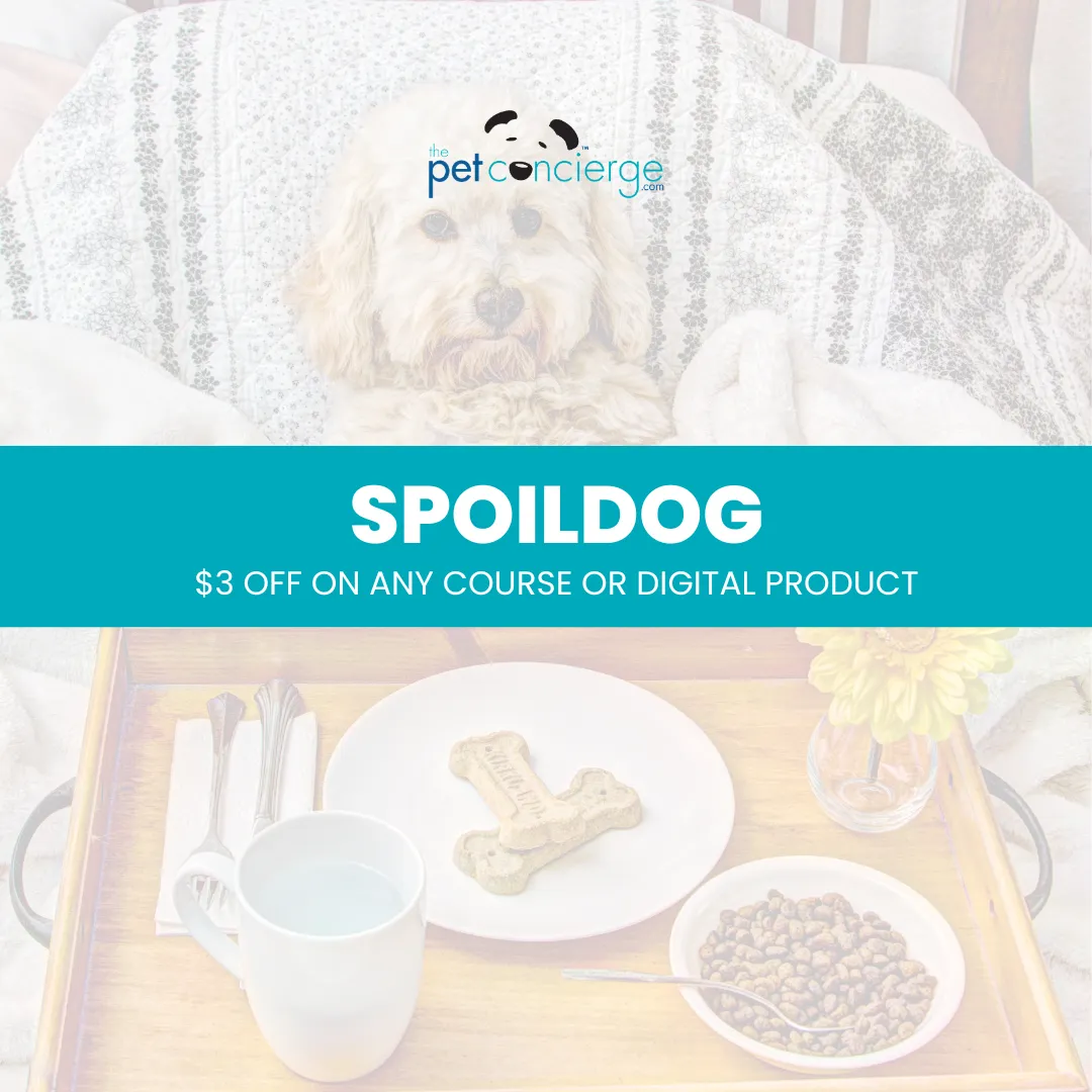 Spoil Your Dog Day