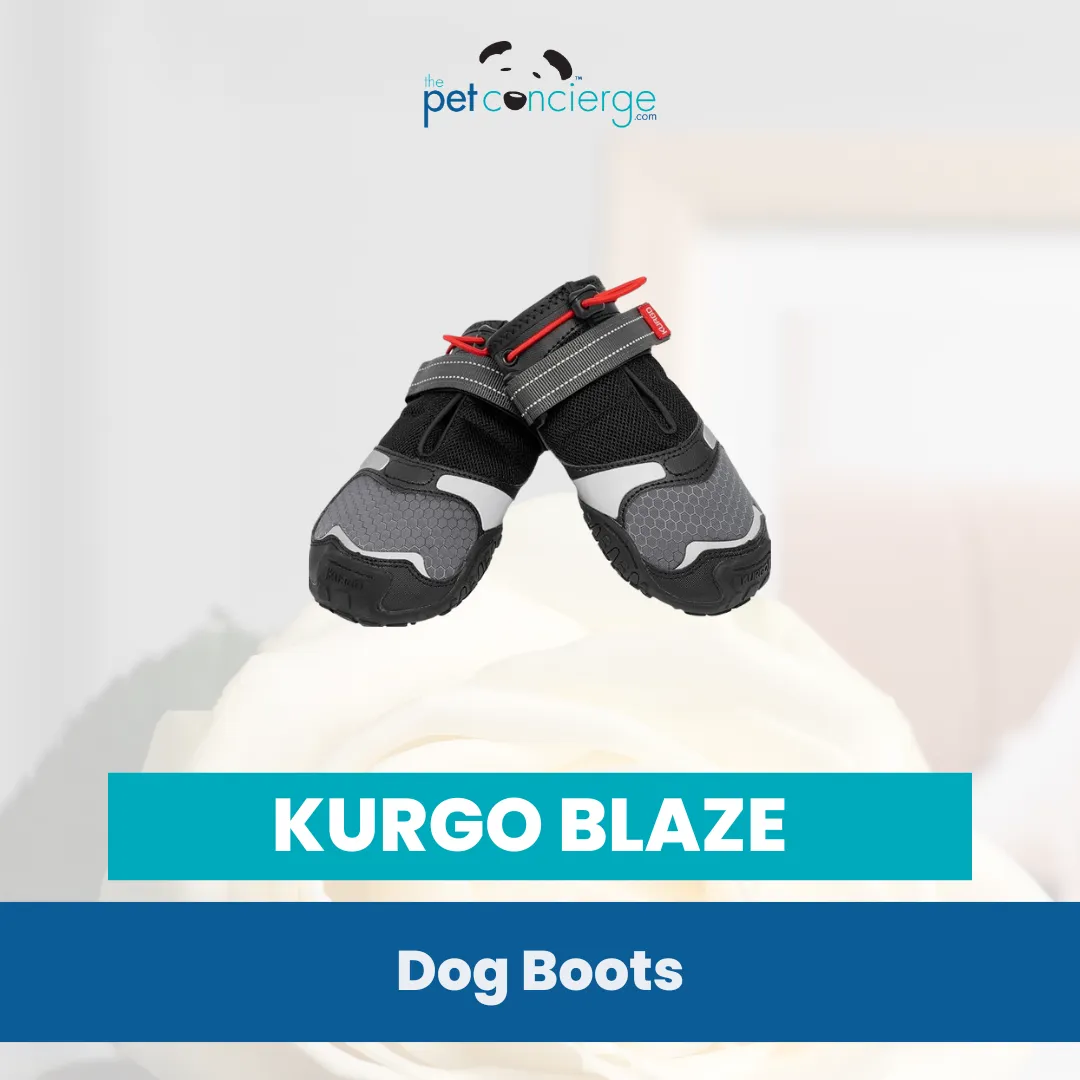 Kurgo Blaze Dog Boots