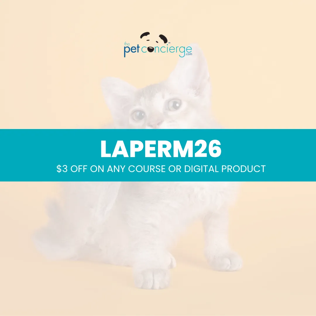 Meet the LaPerm: The Curly-Coated and Affectionate Companion 