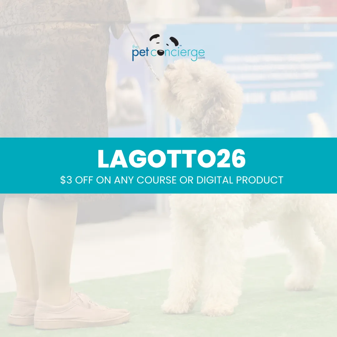 Meet the Lagotto Romagnolo: The Curly-Coated Italian Truffle Hunter 