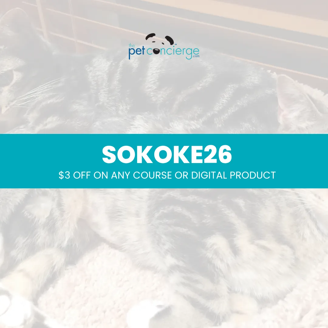 Meet the Sokoke: The Rare and Athletic Forest Cat
