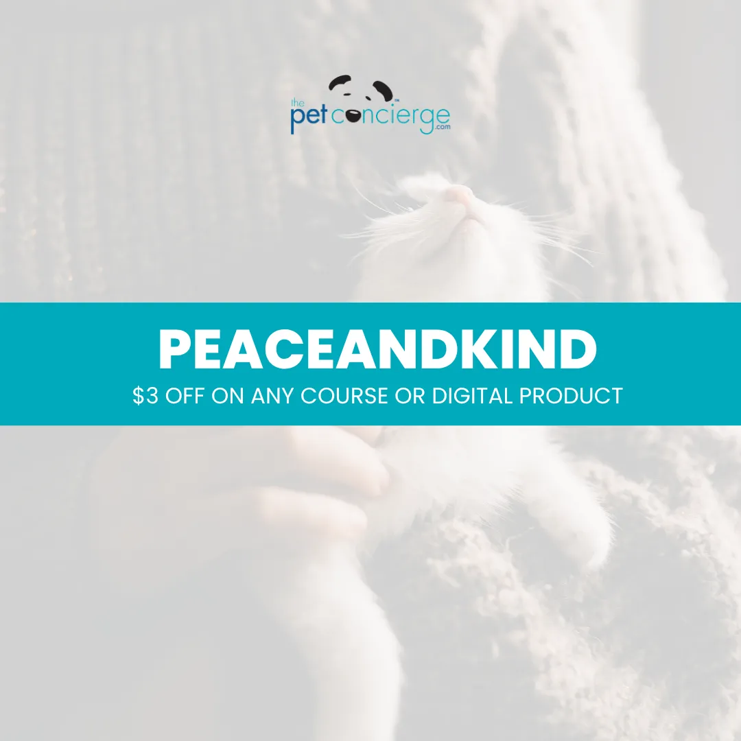 International Day of Peace