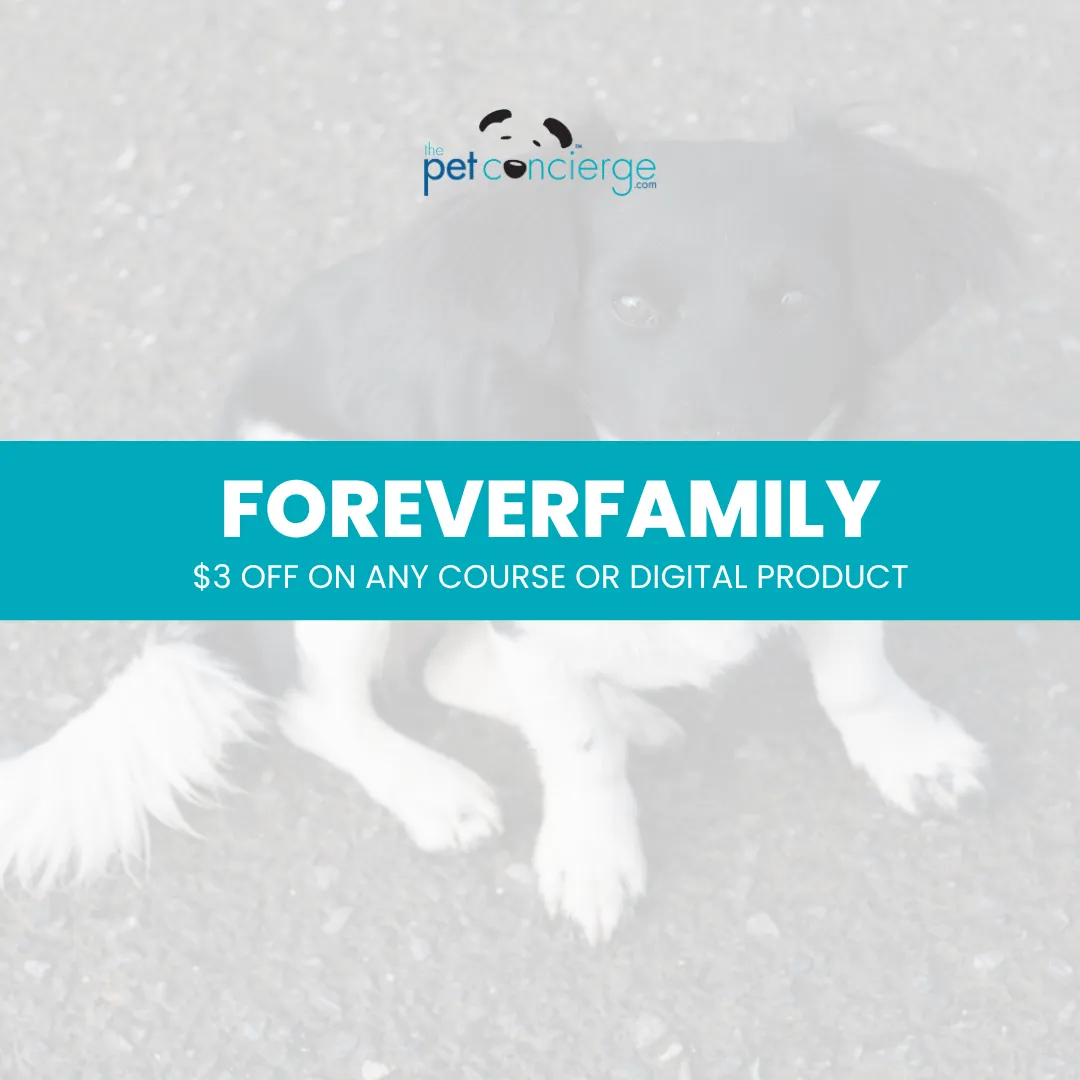 National Pet Memorial Day