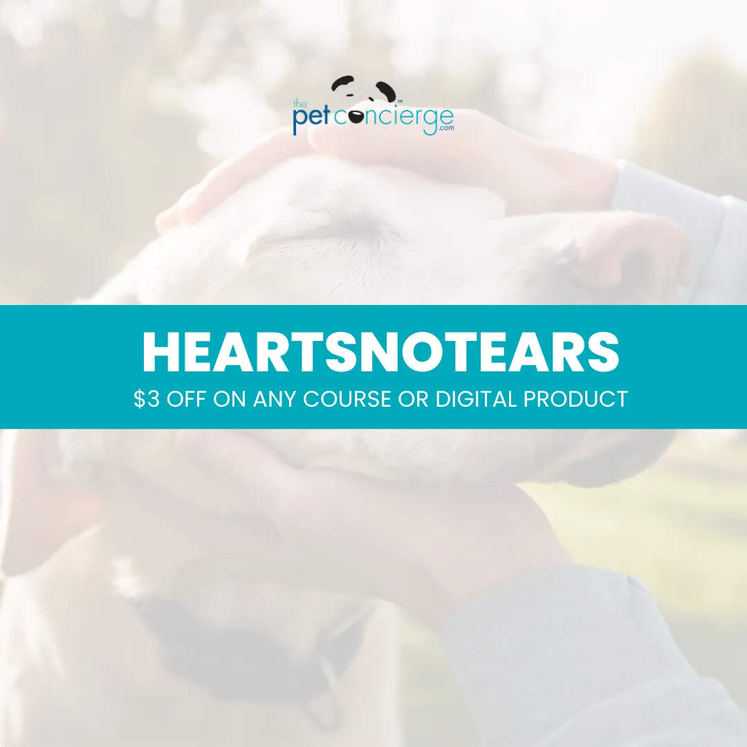 National Deaf Dog Awareness Week