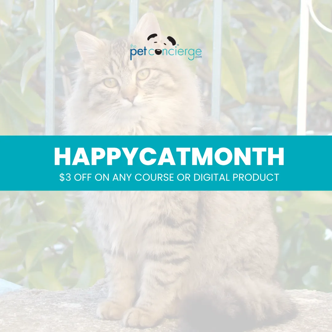 Happy Cat Month