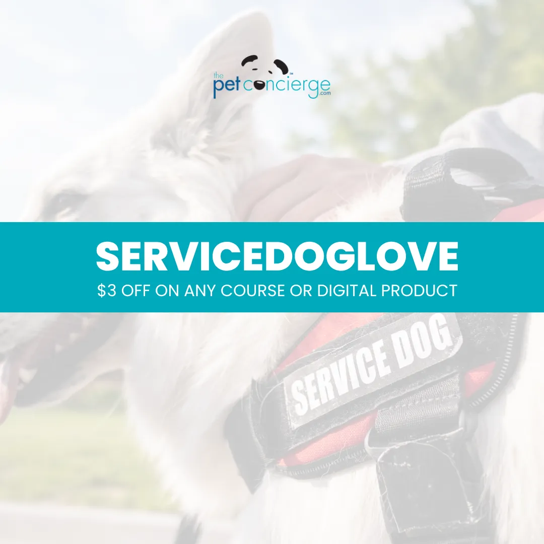 National Service Dog Month