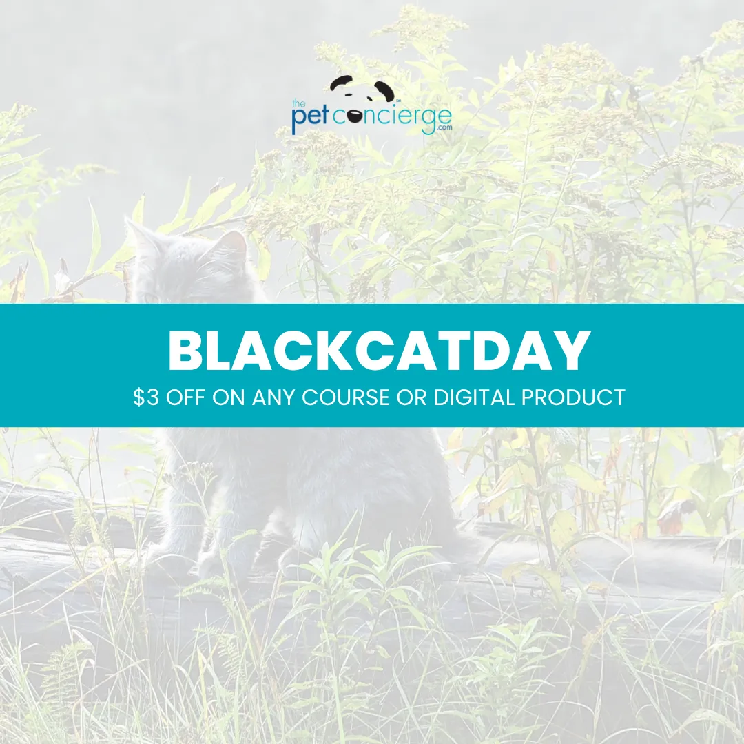 National Black Cat Day